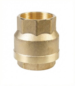 '3''  YAYLI DİK ÇEKVALF'